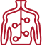 nervous system icon